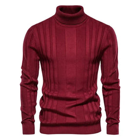 Suéter Masculino Gola Alta Attlan