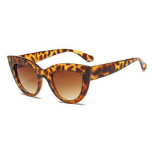 Óculos de Sol Big Cat